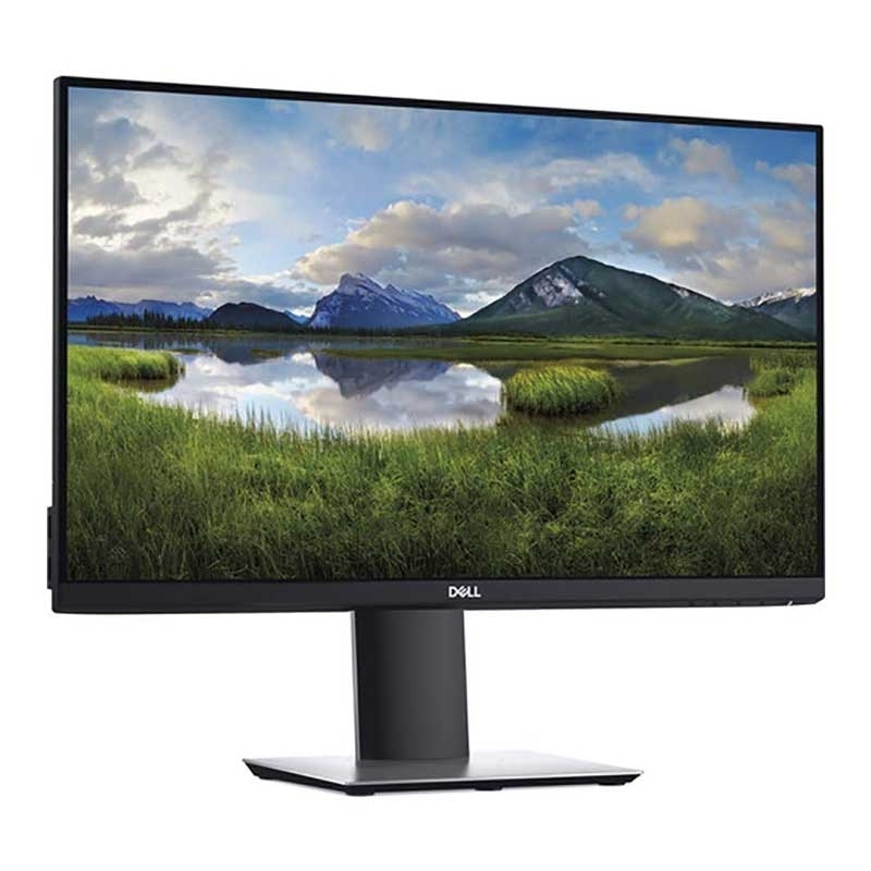 Dell P2419H
